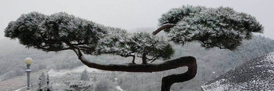 hstika's profile banner image