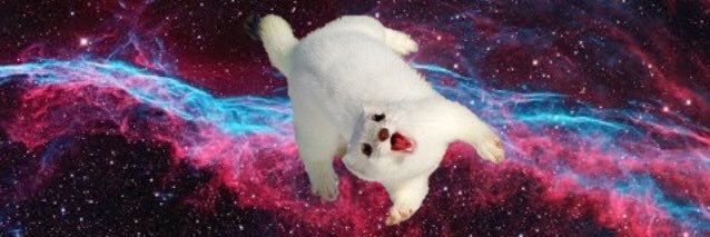 NoLohr's profile banner image