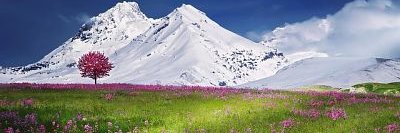 Patricia_Chisch's profile banner image