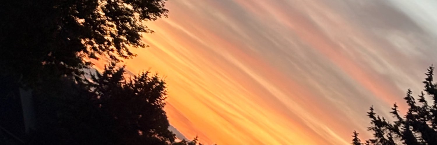 wittywonder40's profile banner image