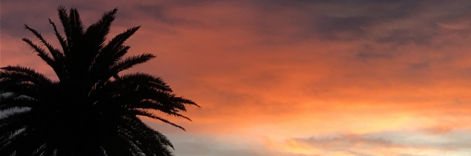 RooLeivas1's profile banner image