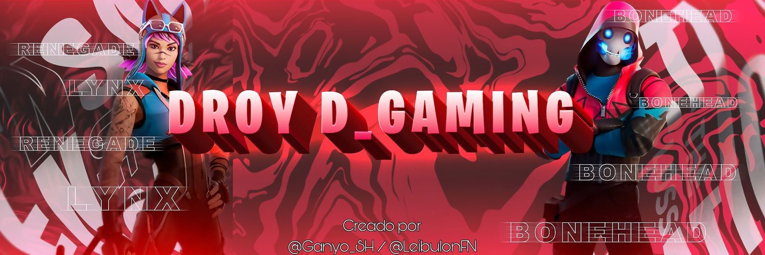 Droy D_Gaming banner