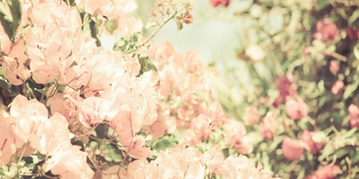 vickoortiz's profile banner image