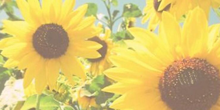 Einnnnn_'s profile banner image