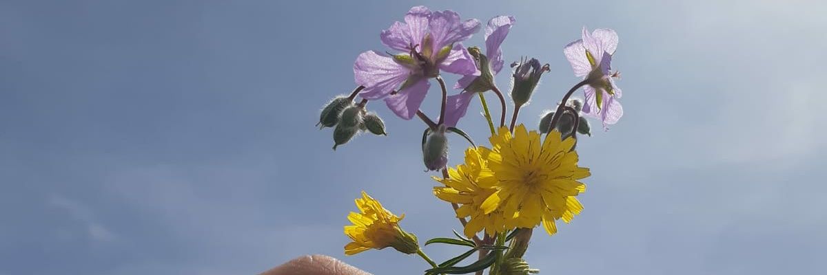Busraagb's profile banner image