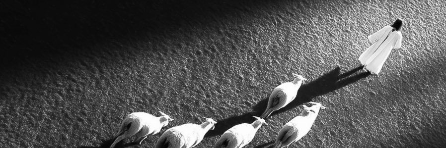 Tyree Q. York banner