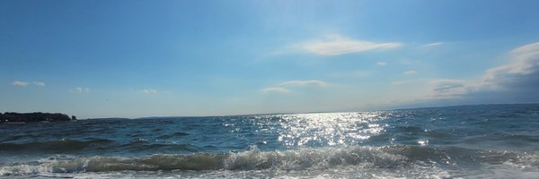 ZacharyOzUS Profile Banner