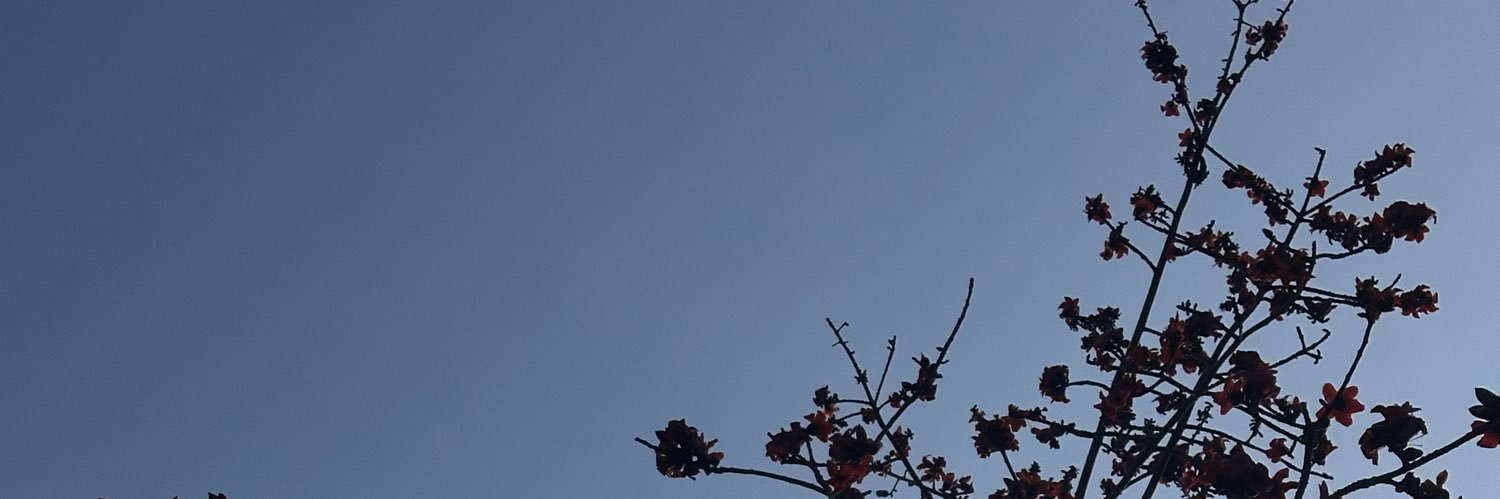 chenlin95213064's profile banner image