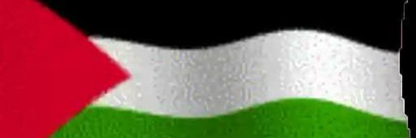 قيس القادري Profile Banner