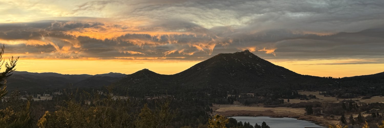 Muffy Tingstud banner