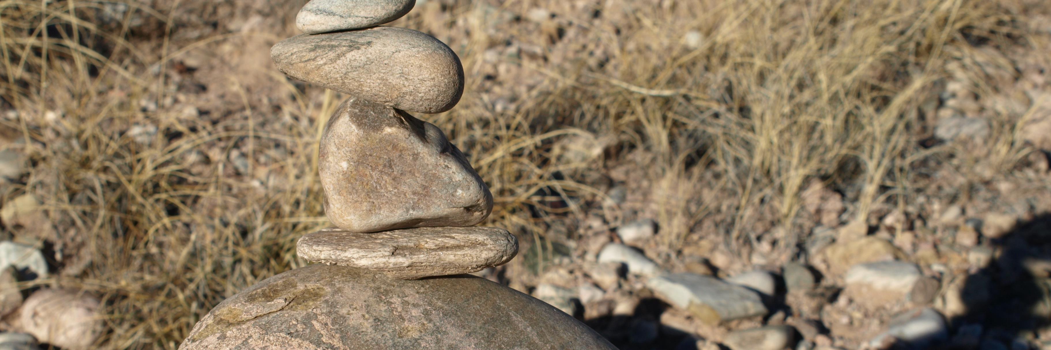 MMugglestone's profile banner image