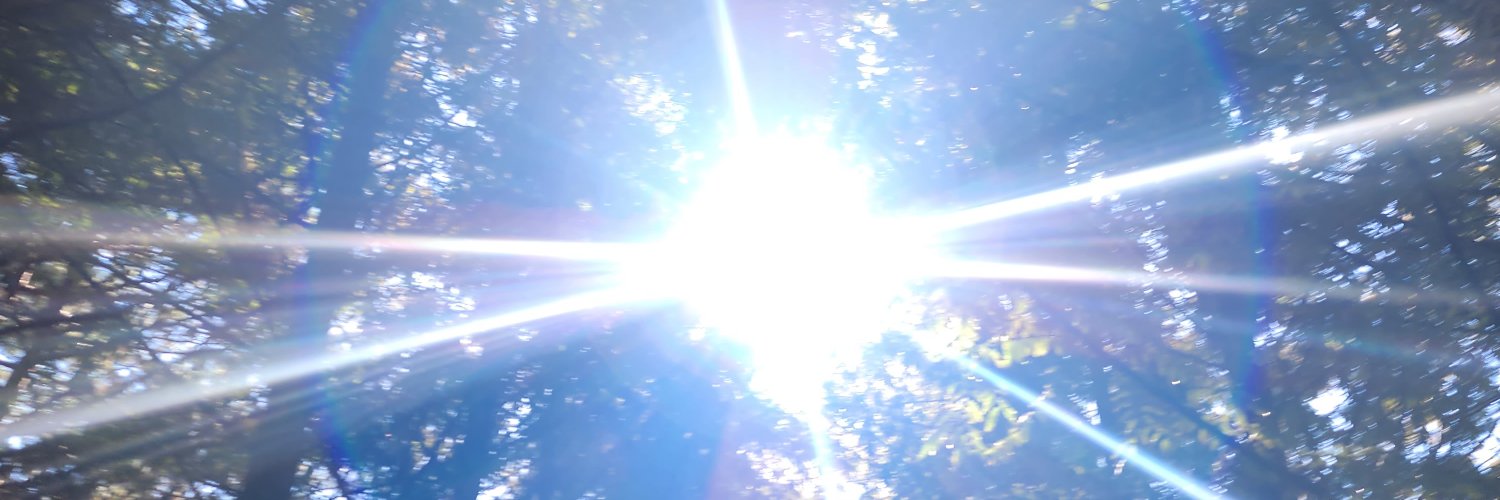 lawyi's profile banner image