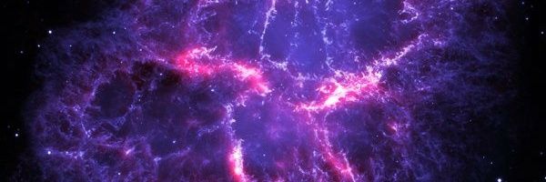 zdog173's profile banner image