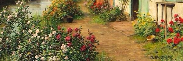 abcd138889's profile banner image