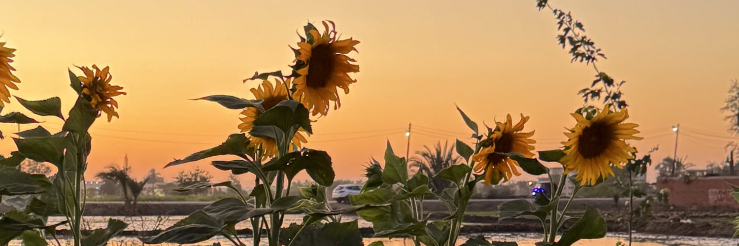 memmmeshh's profile banner image