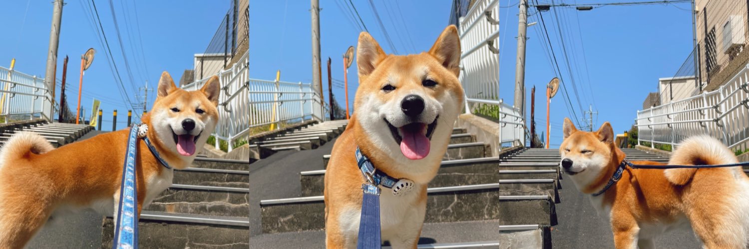 dannymaa's profile banner image
