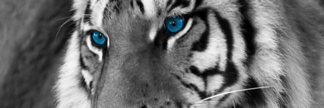 Mustafa45695794's profile banner image