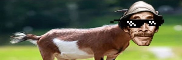 stereodemones Profile Banner