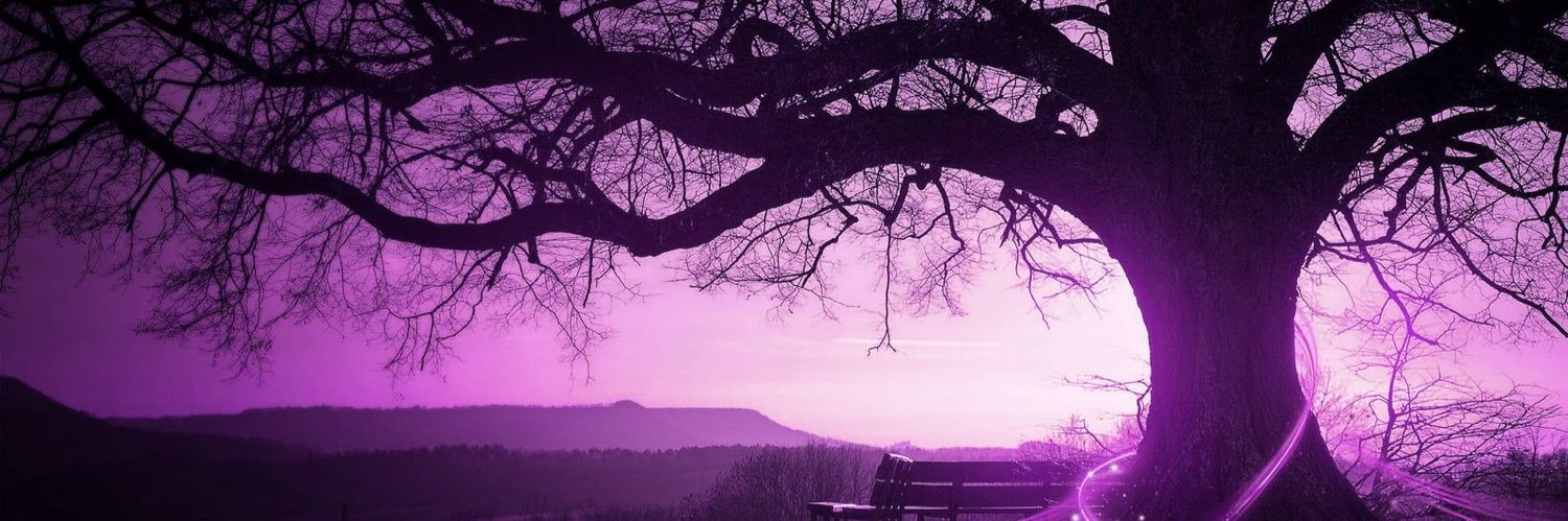 IlySxul's profile banner image
