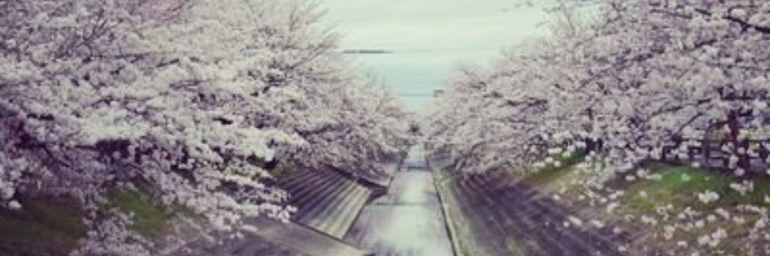 FallenAngelsky's profile banner image