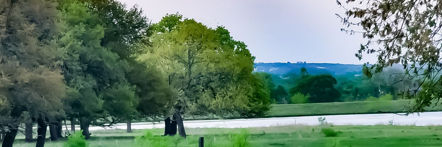 MesquiteTreeLee's profile banner image