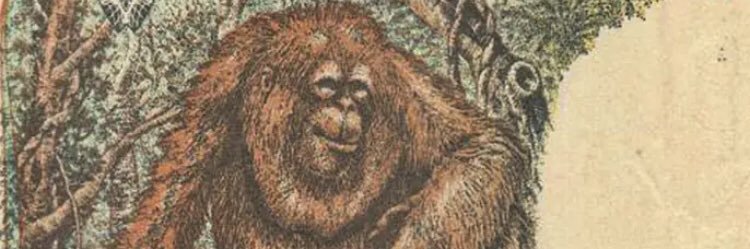 FarisKurn's profile banner image