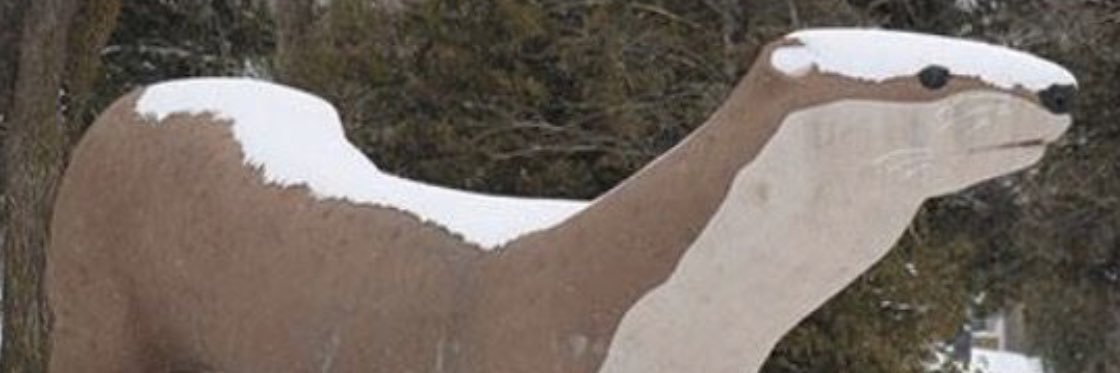 Strib Guy's banner