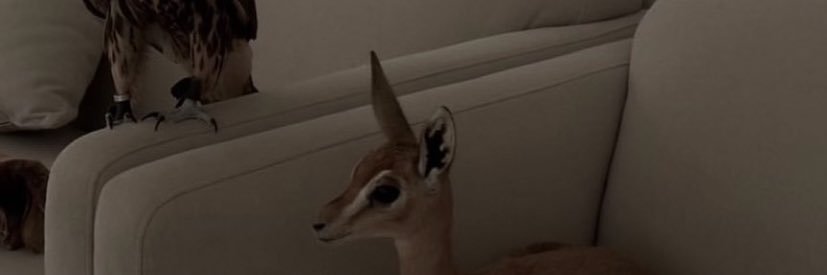 0o1lp's profile banner image