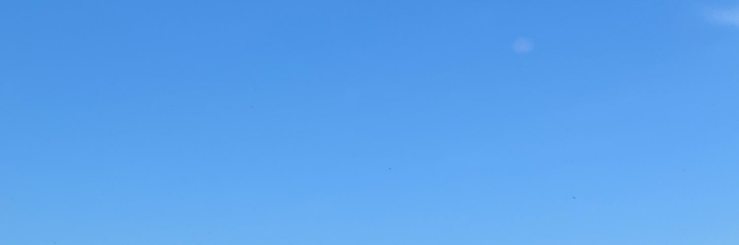 ( ˶ᐢᗜᐢ˶)つ banner