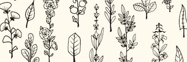 MeemSha4 Profile Banner