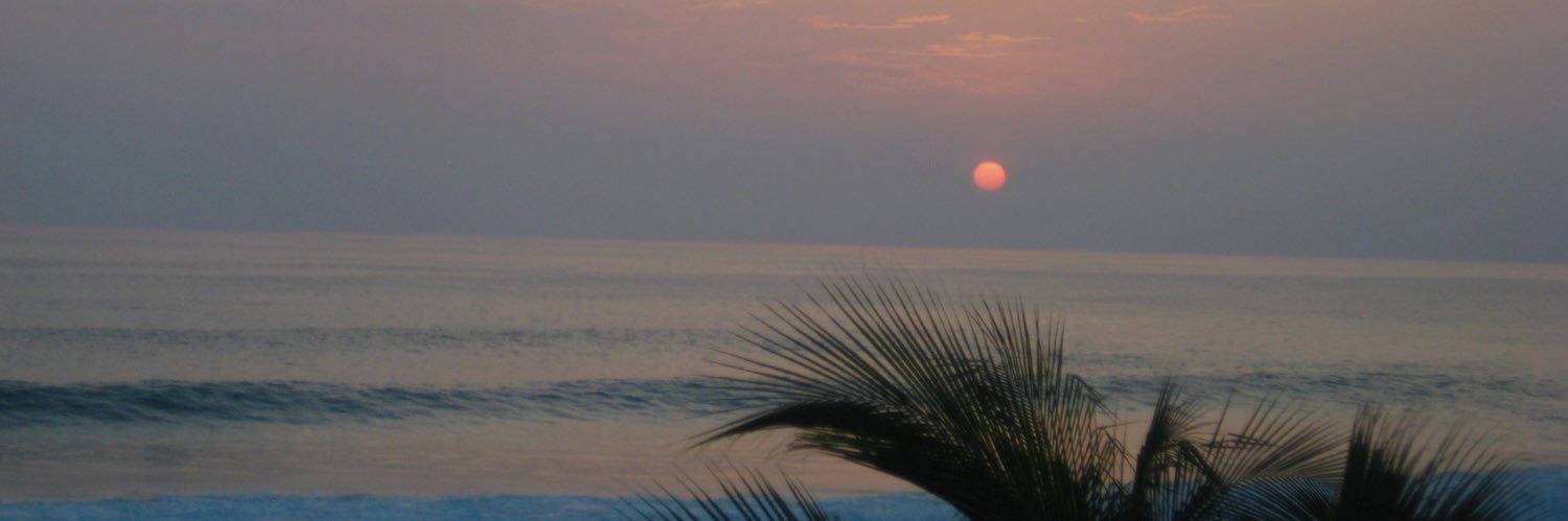 marianarddz's profile banner image