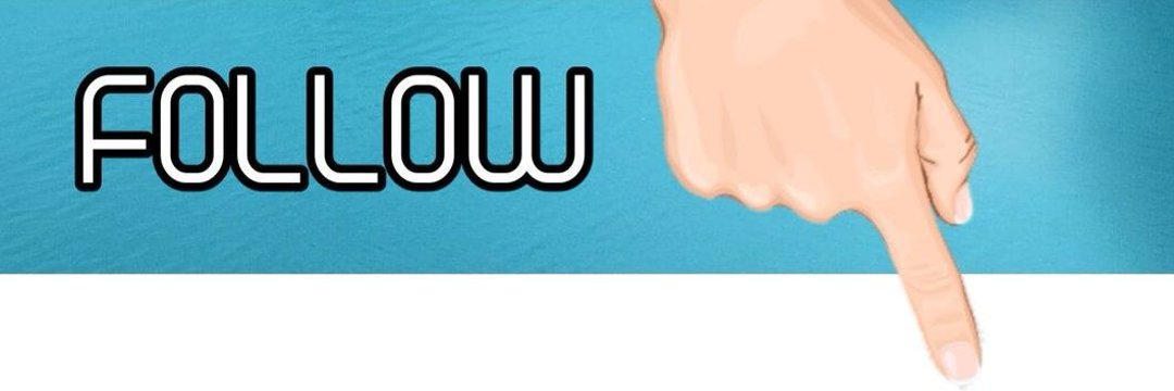 Zoloo's banner