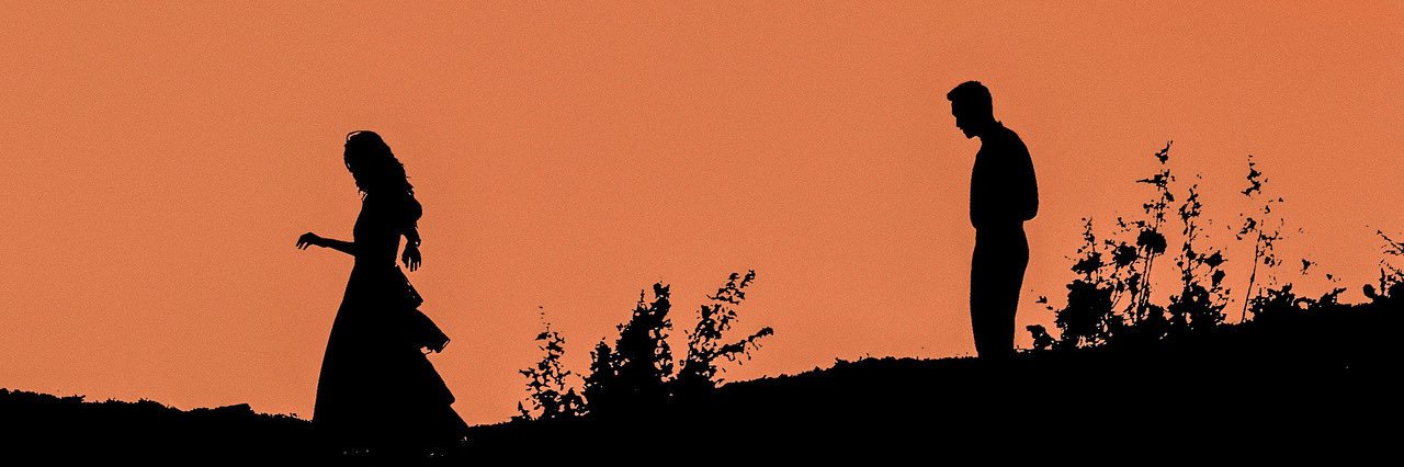 Dog are flying banner