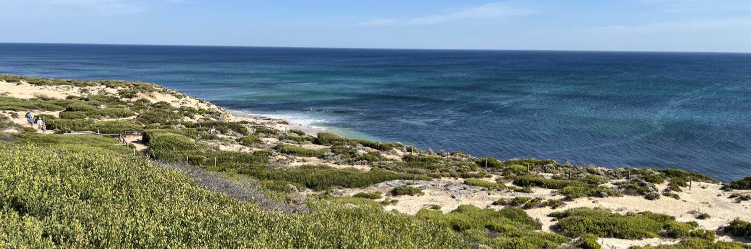 notrealfitzgerald banner