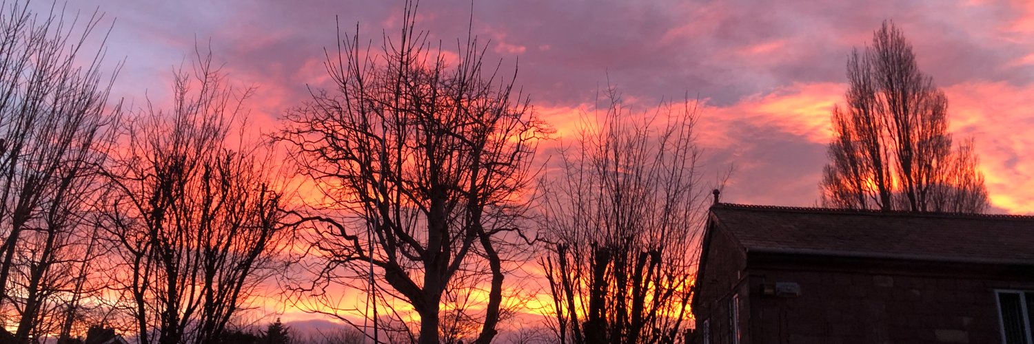 liser_jones's profile banner image