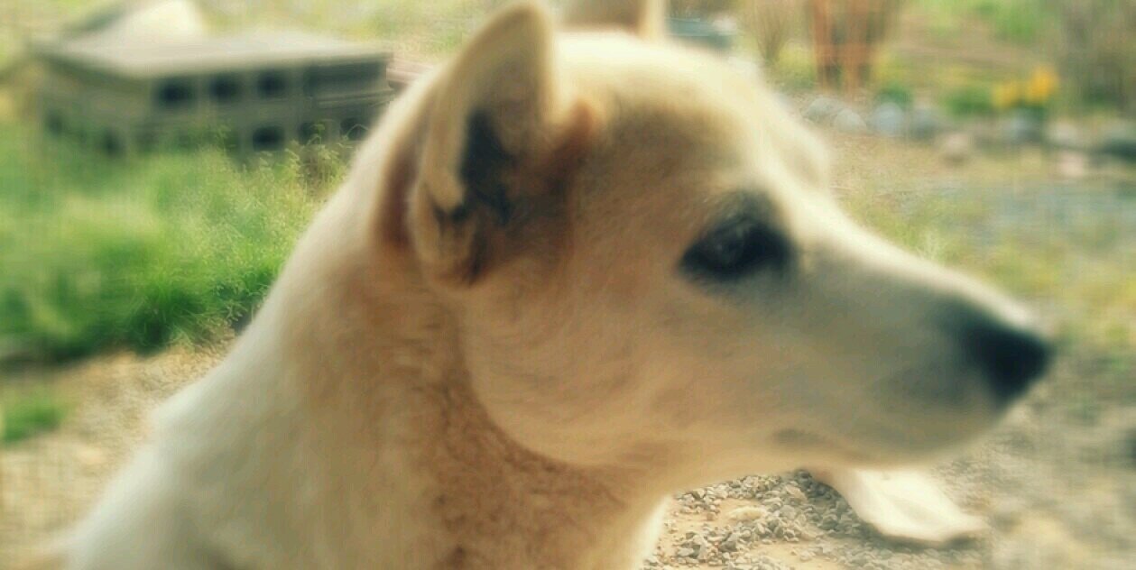 な、なっちゃーん。 banner