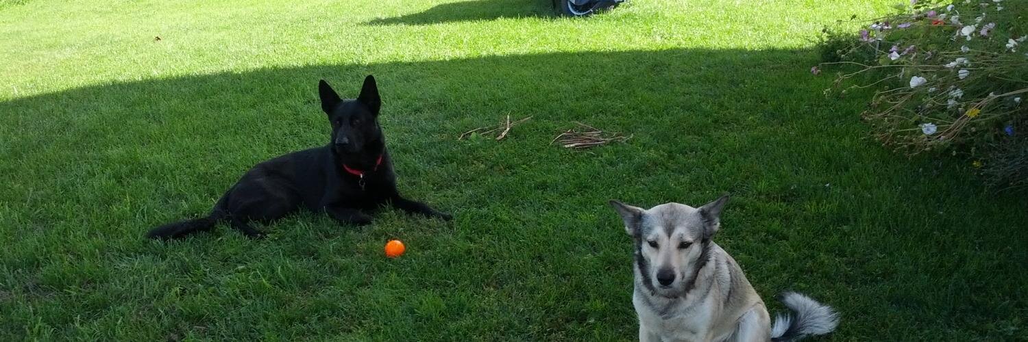 🇺🇦 Raymond 🇺🇦 banner