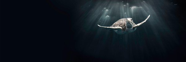 jbreinlinger Profile Banner