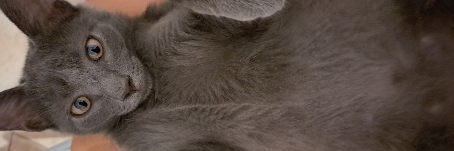 siachwu's profile banner image