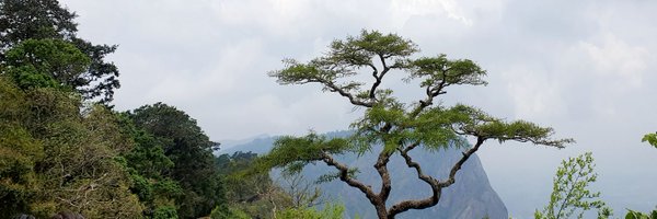 selvasathyam Profile Banner