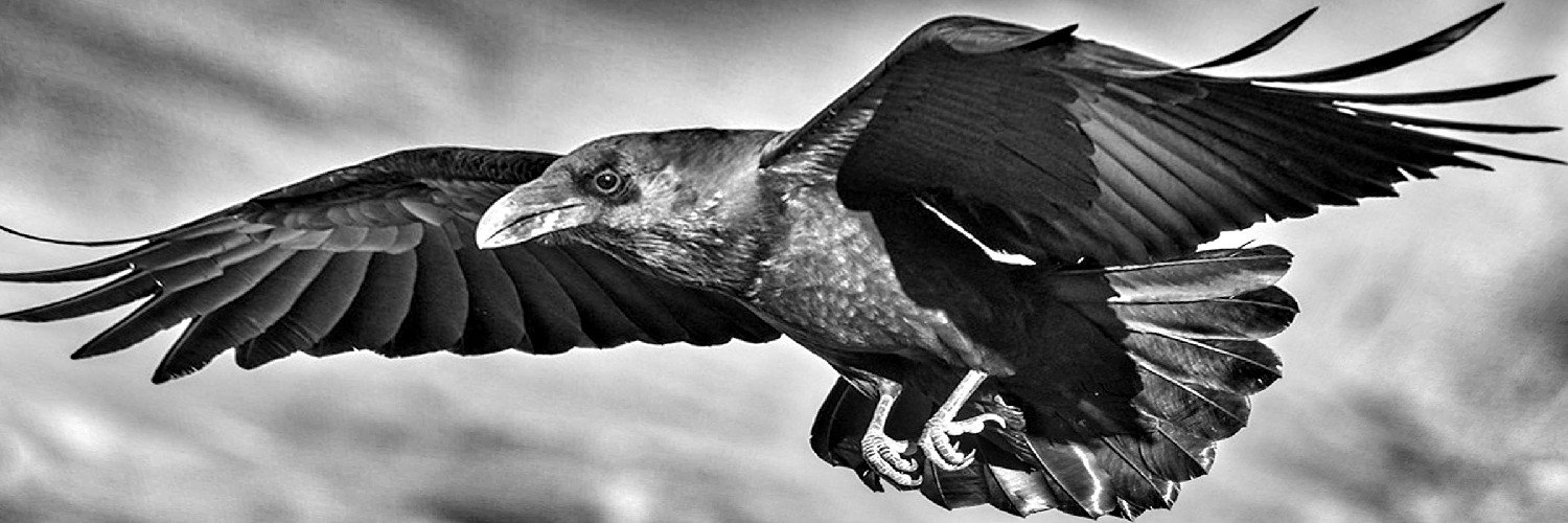 Raven9 🇵🇸✊ banner