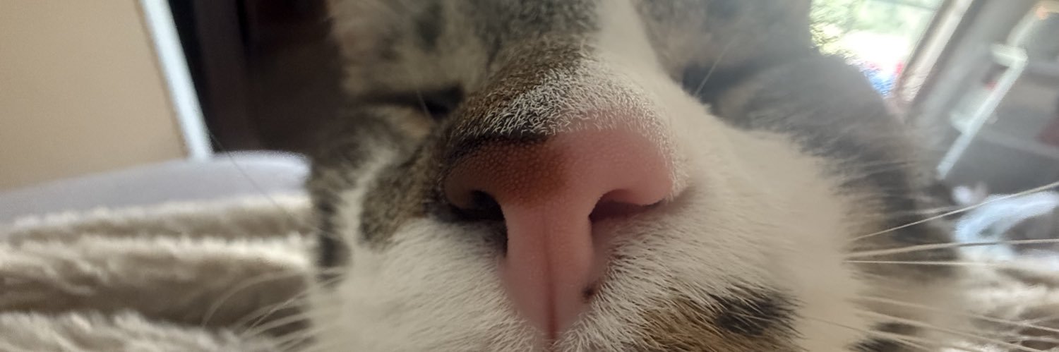 puff the magic dragon banner