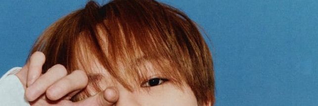 ily banner