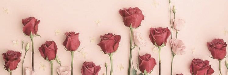 pnaww_'s profile banner image