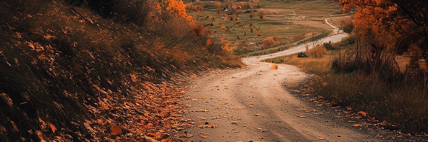 Özcan Kurt banner