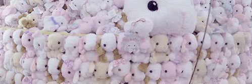 oipeidois banner