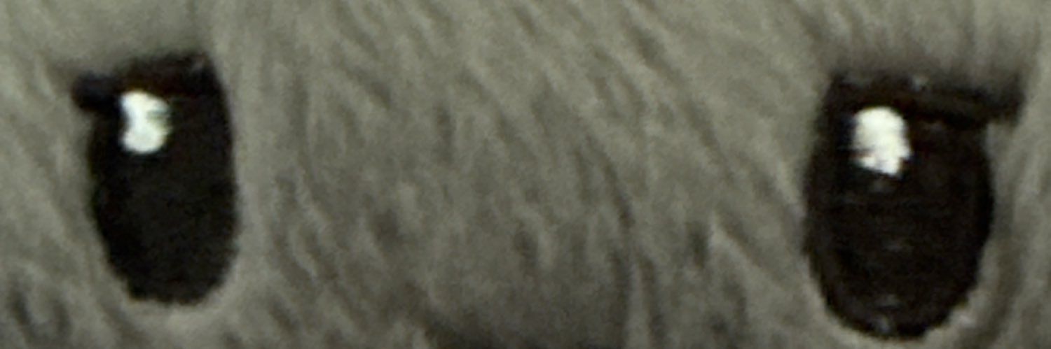 Espedrawss's profile banner image