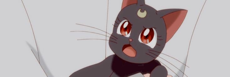 kimkimsese's profile banner image