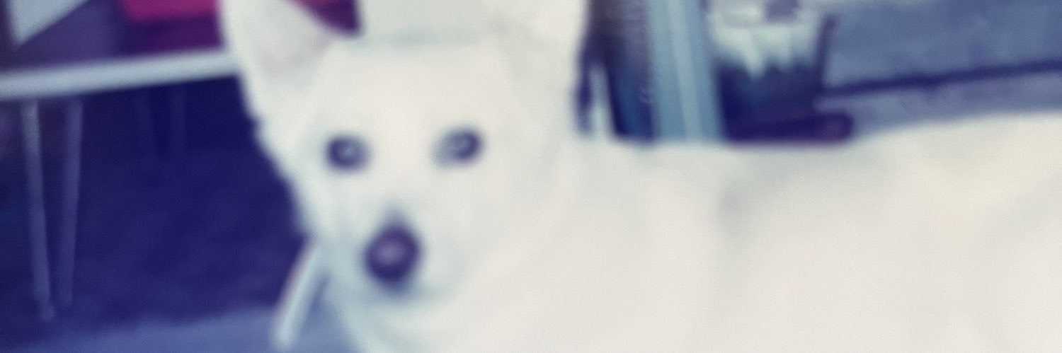 🌟たまたま banner