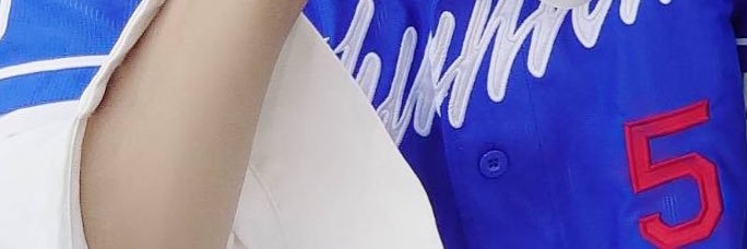 ねこ's banner